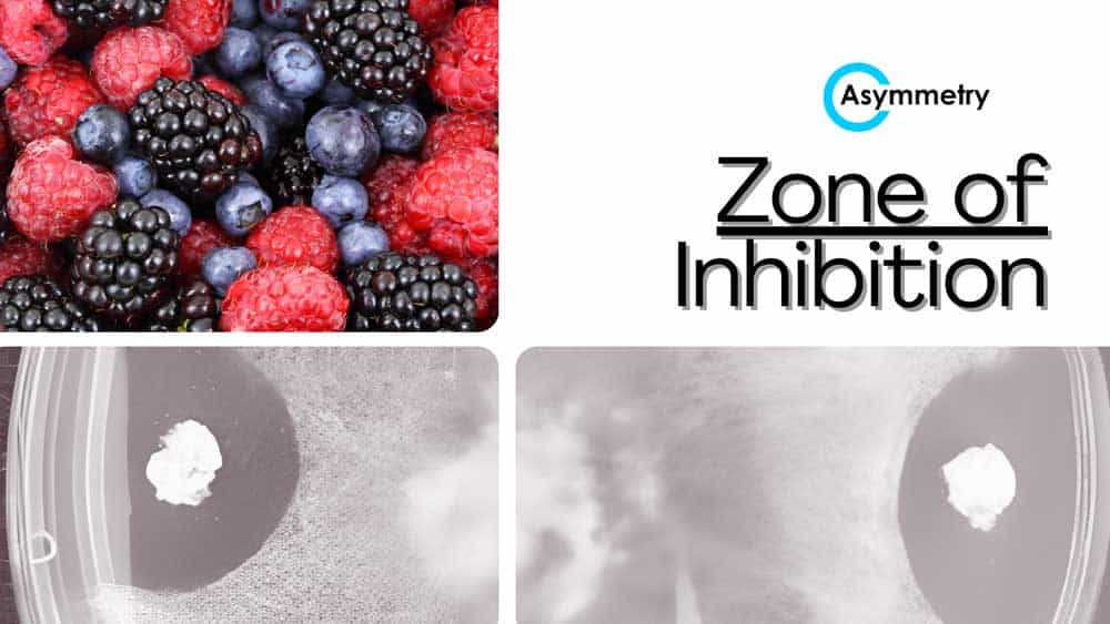 Zone of Inhibition paving the way to sustainable agriculture.