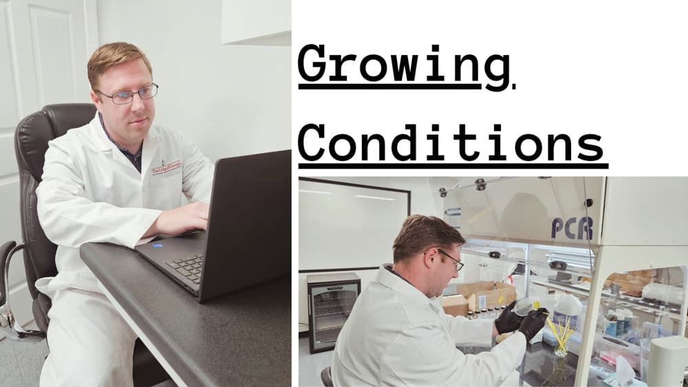 Jordan Russel in lab coat working in a lab showing Growing Conditions